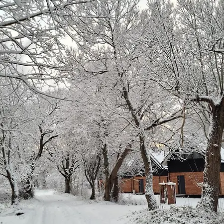 Czas Na Las Zarnowska Exterior photo